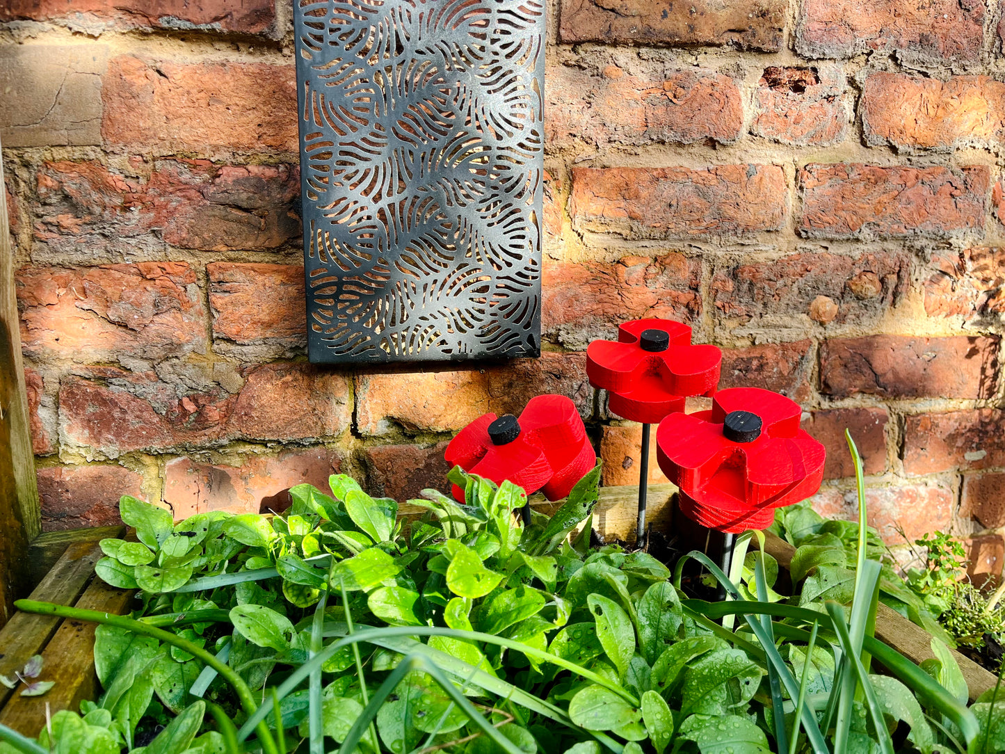 Decorative Poppy - Set of 2