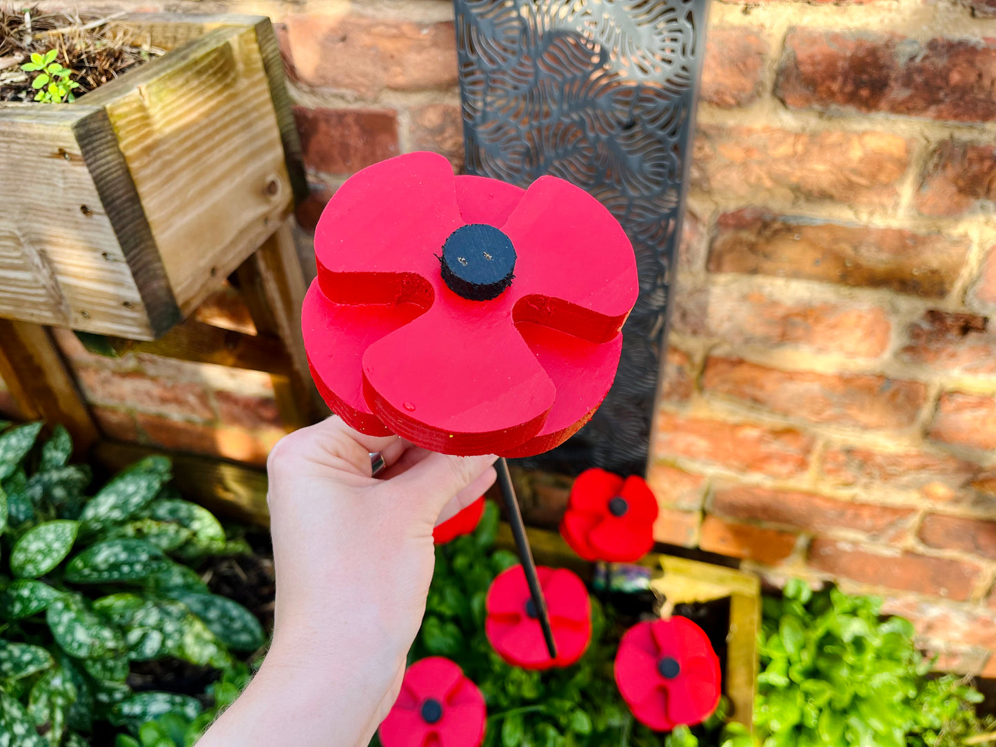Decorative Poppy - Set of 2