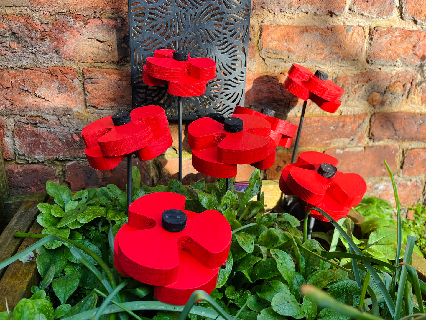 Decorative Poppy - Set of 2