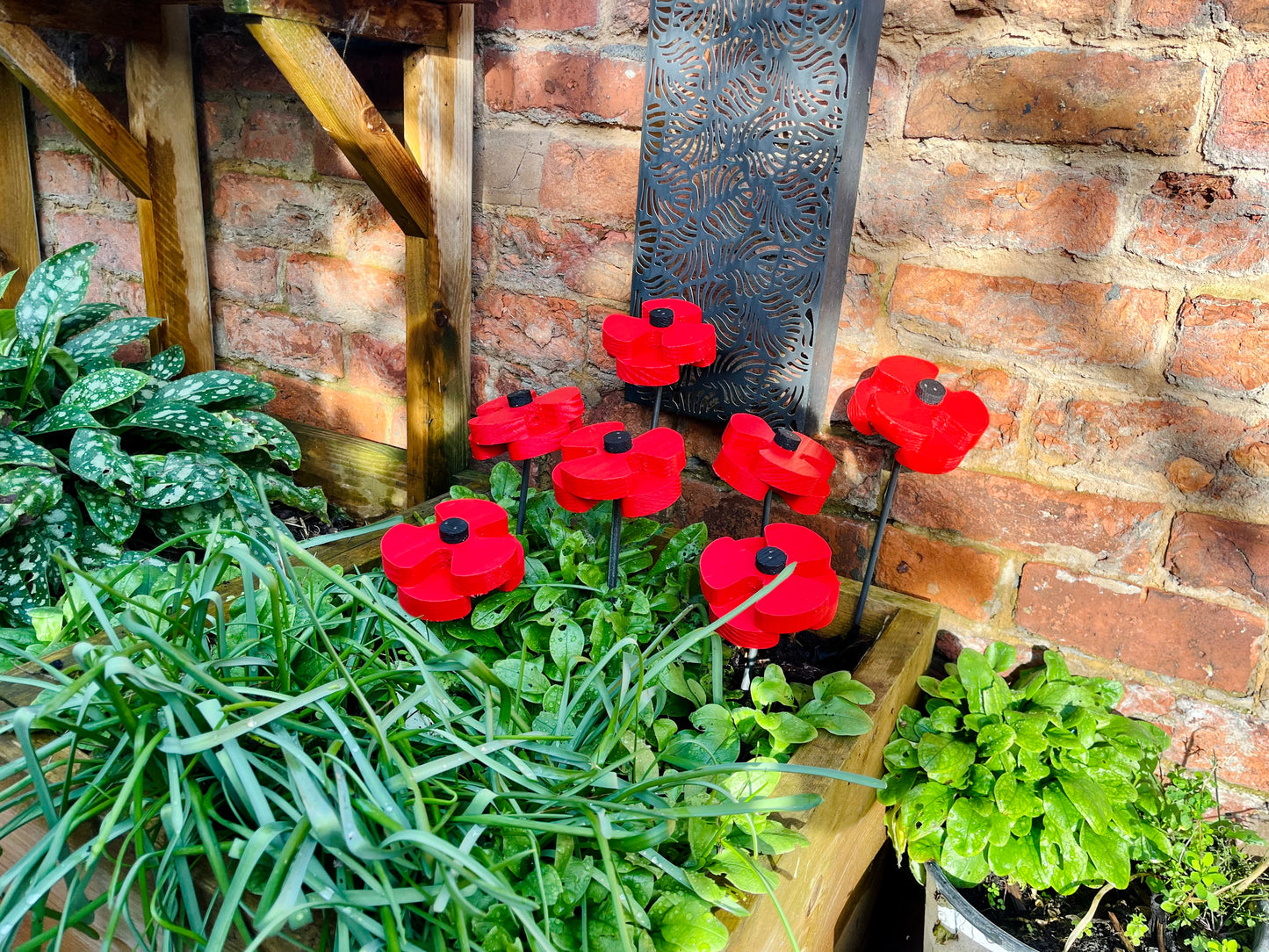 Decorative Poppy - Set of 2