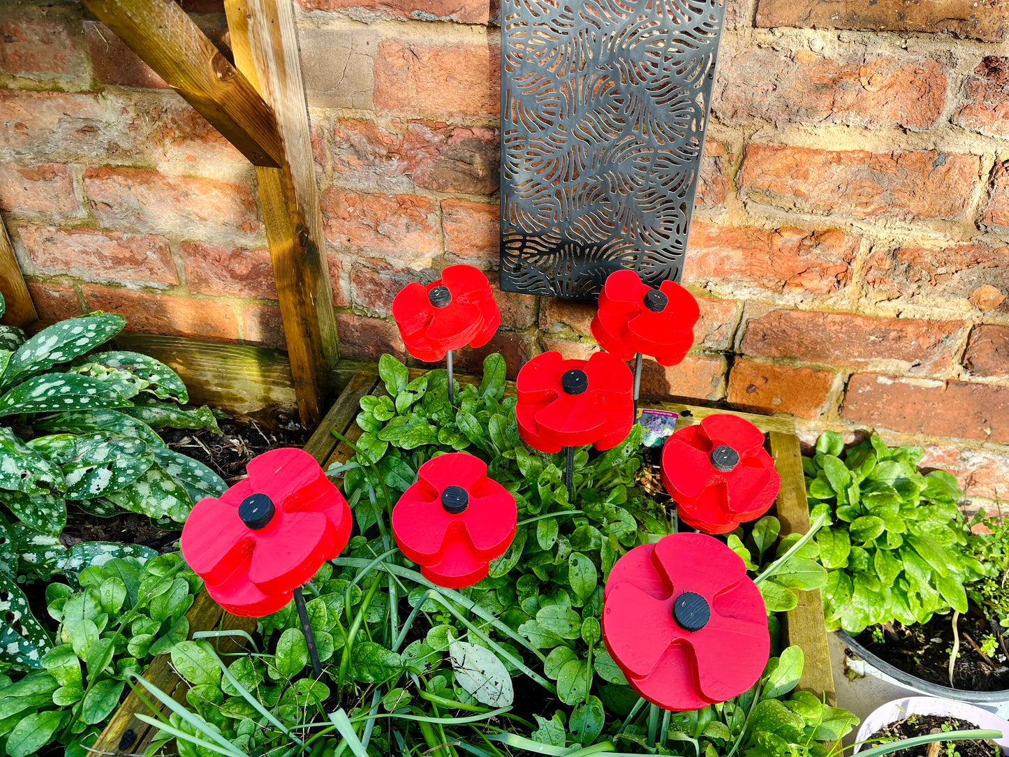 Decorative Poppy - Set of 2