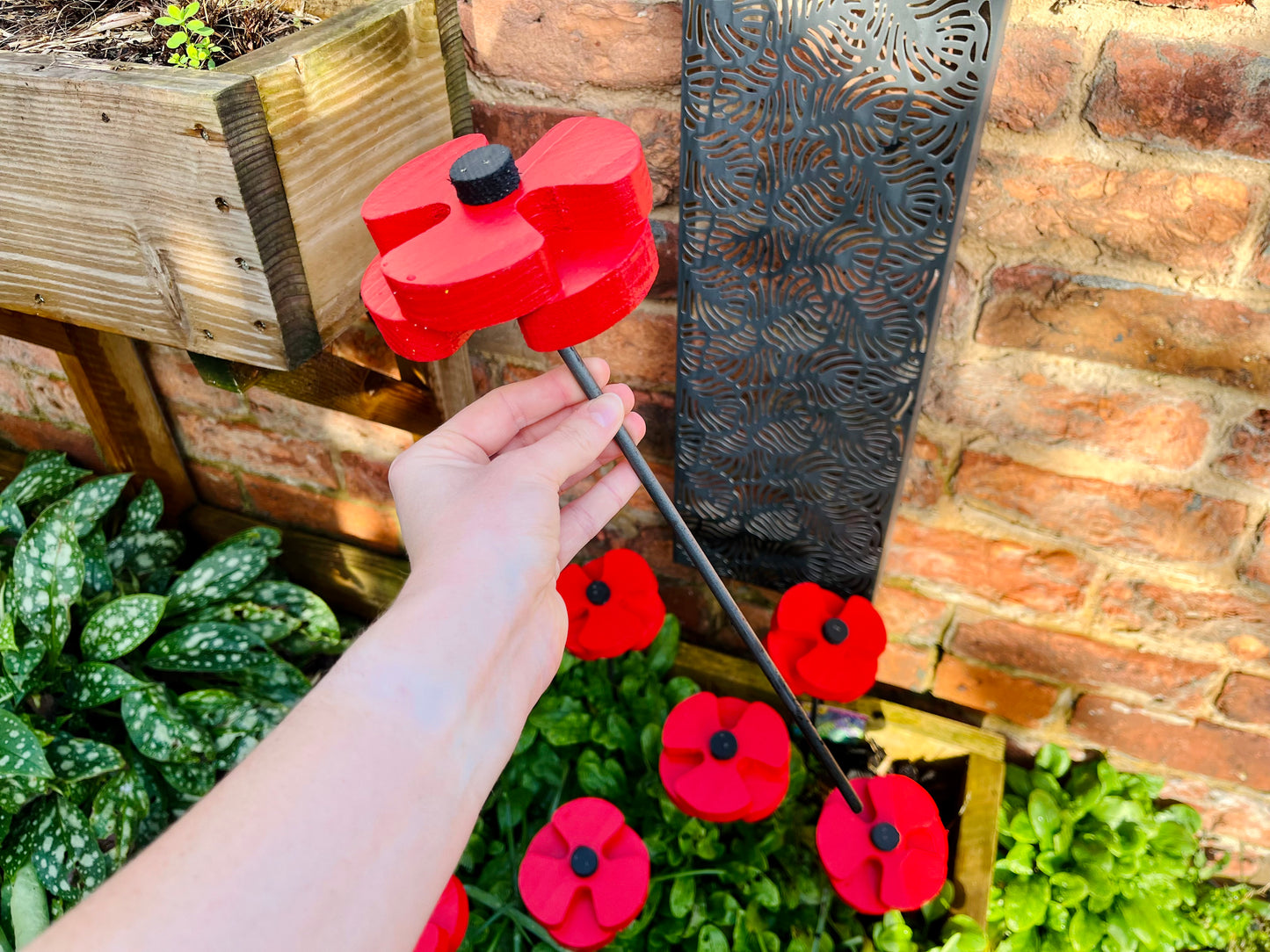 Decorative Poppy - Set of 2