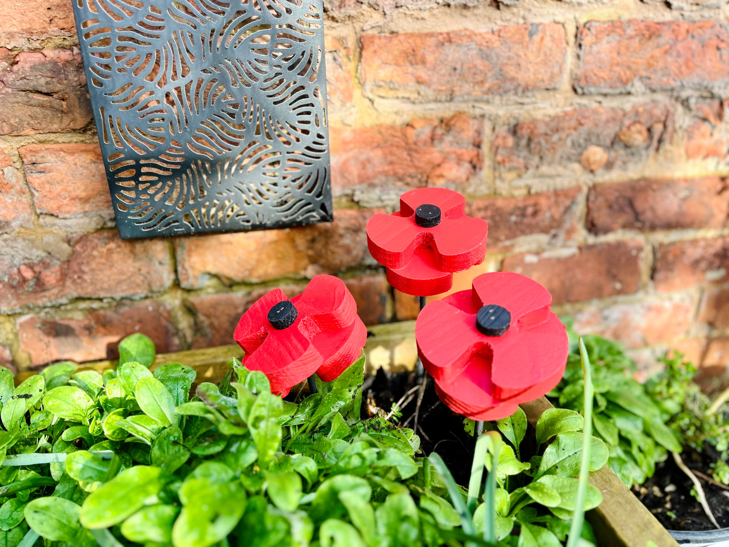 Decorative Poppy - Set of 2