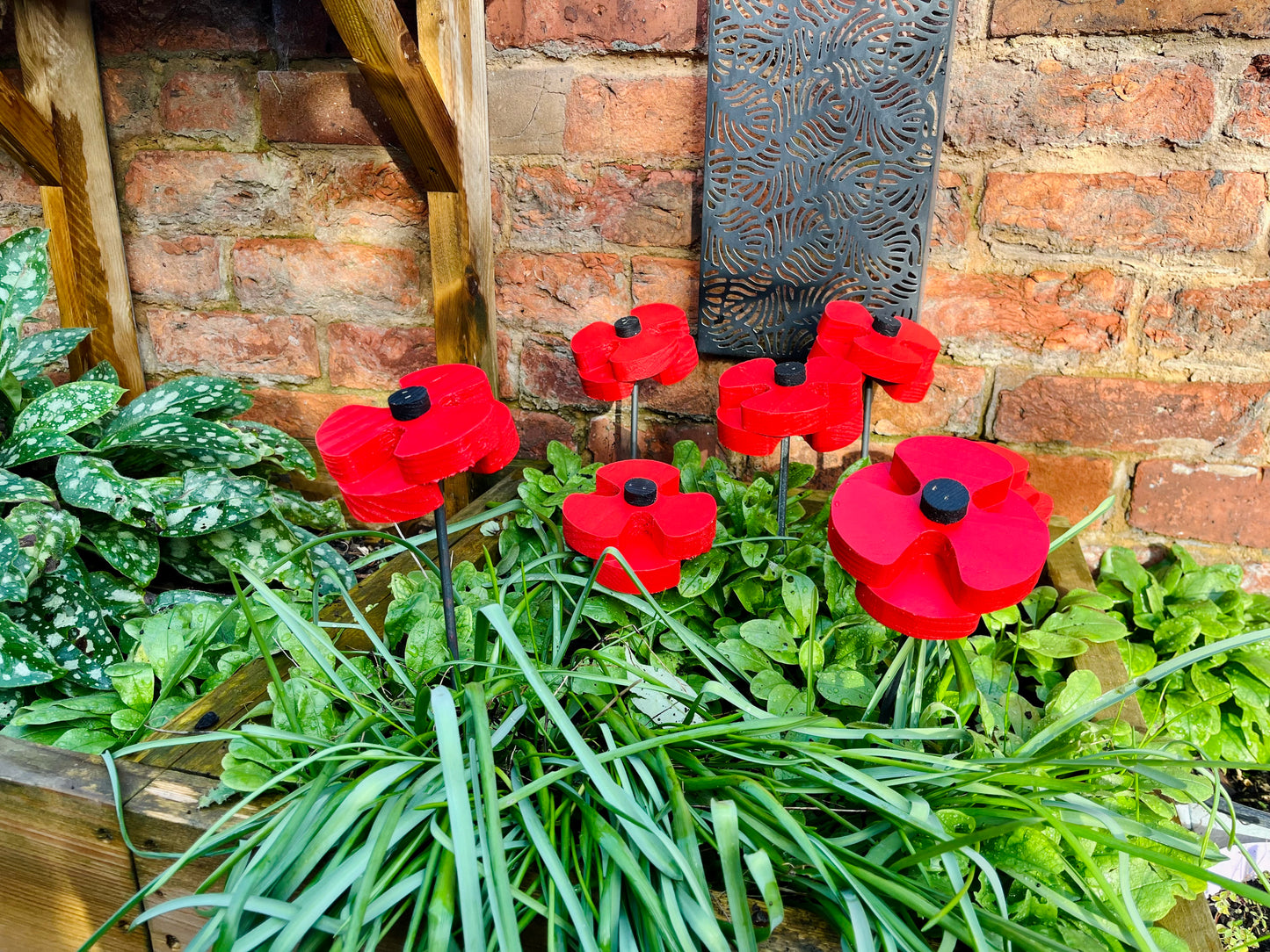 Decorative Poppy - Set of 2