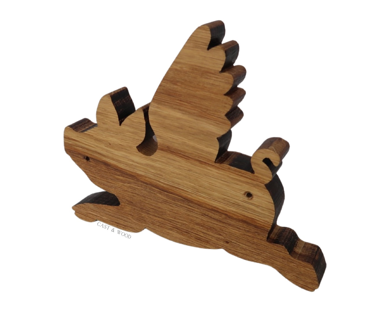 Flying Pig Mounted Coat Hook