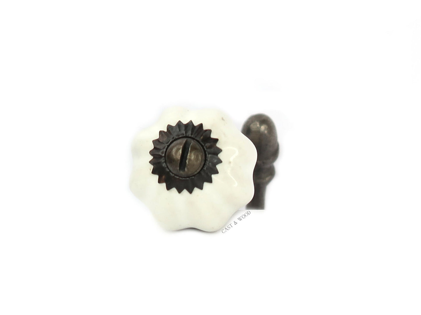White Acorn Double Coat Hook freeshipping - Cast & Wood