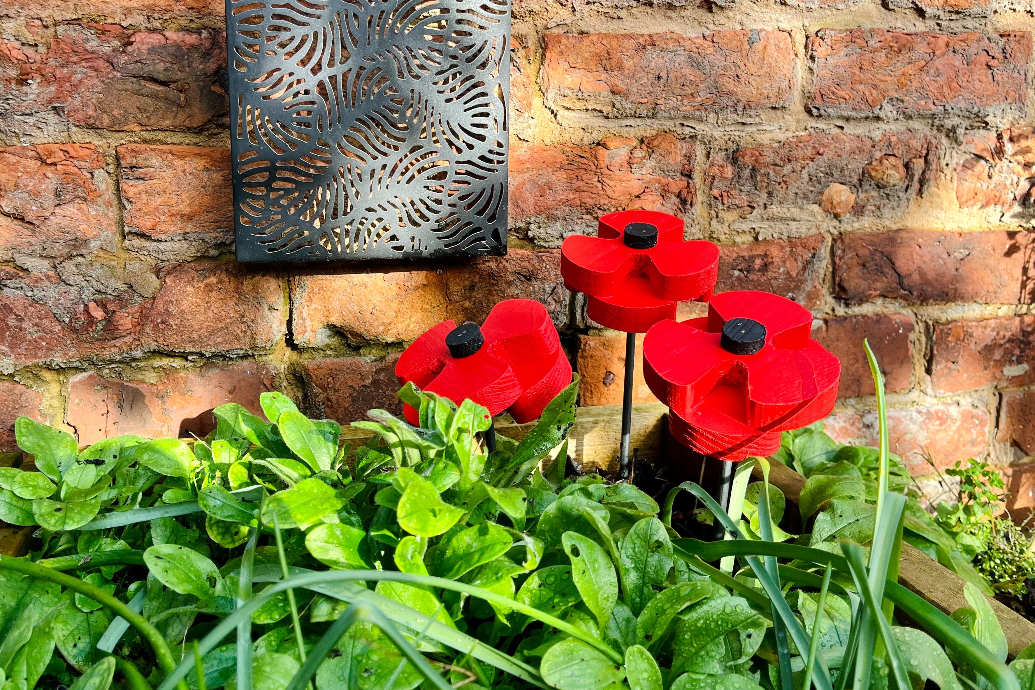 Decorative Poppy - Pair