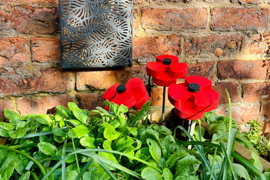 Decorative Poppy - Pair