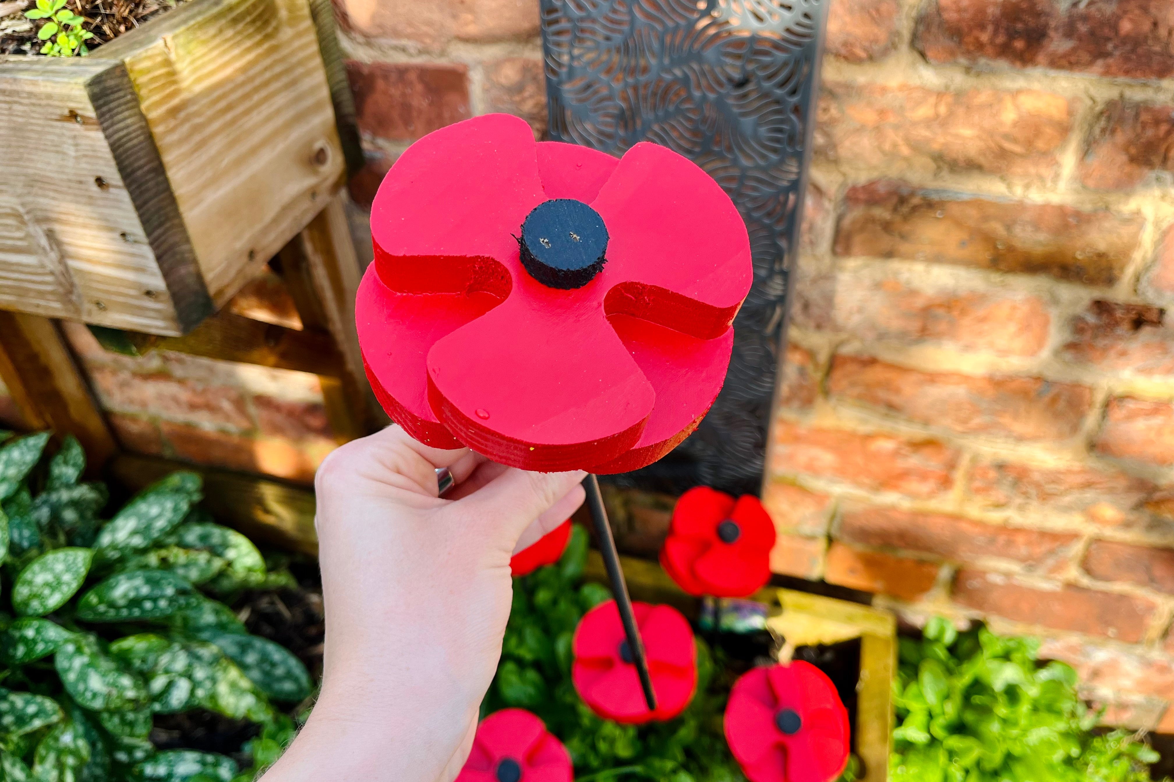 Decorative Poppy - Pair