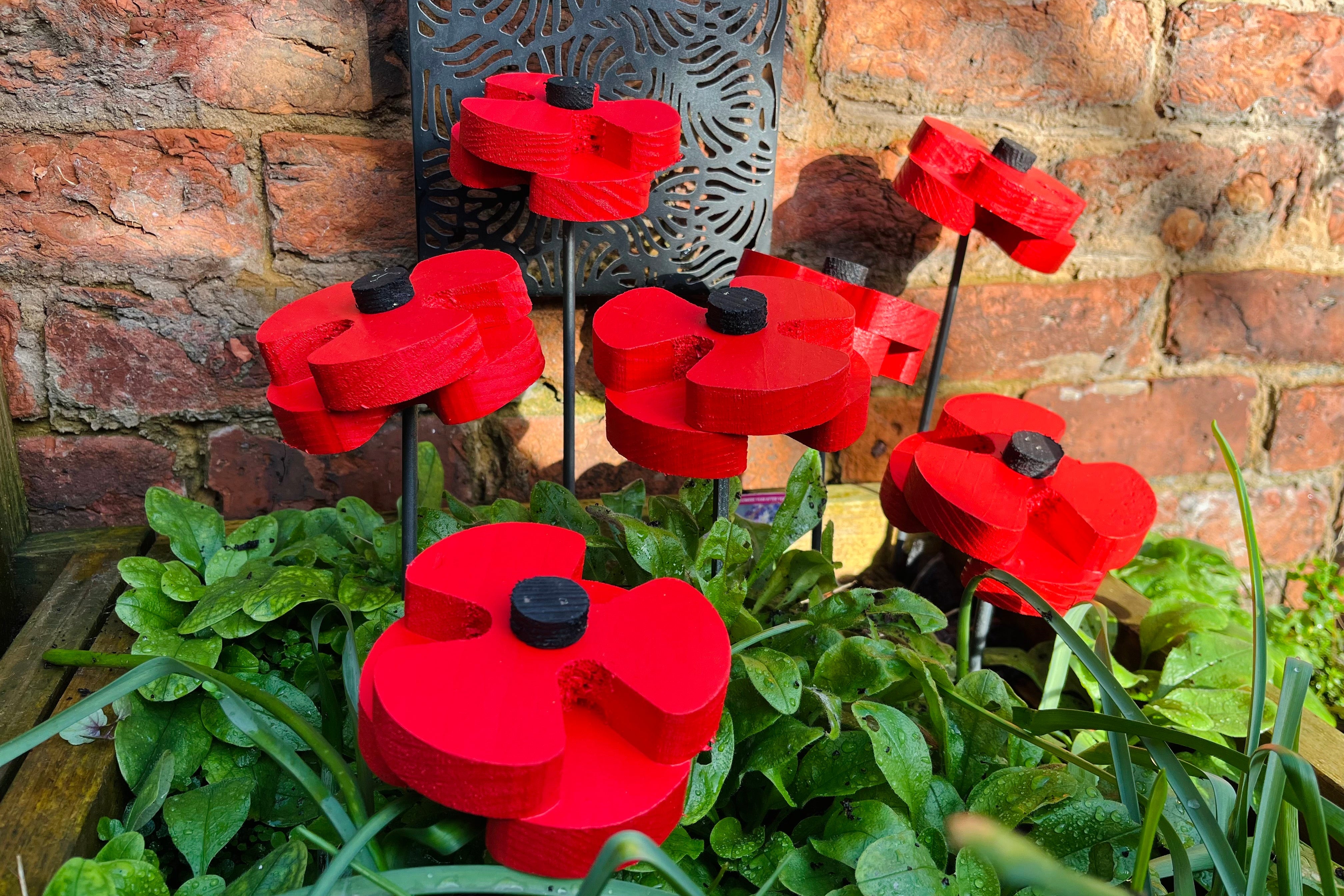 Decorative Poppy - Pair