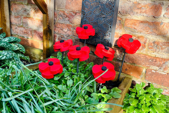 Decorative Poppy - Pair