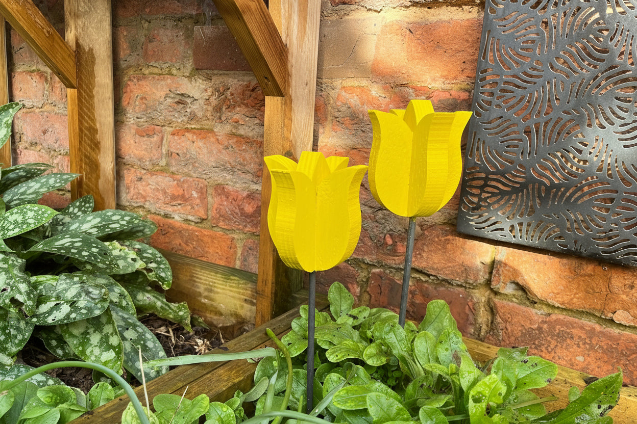 Decorative Tulip - Pair