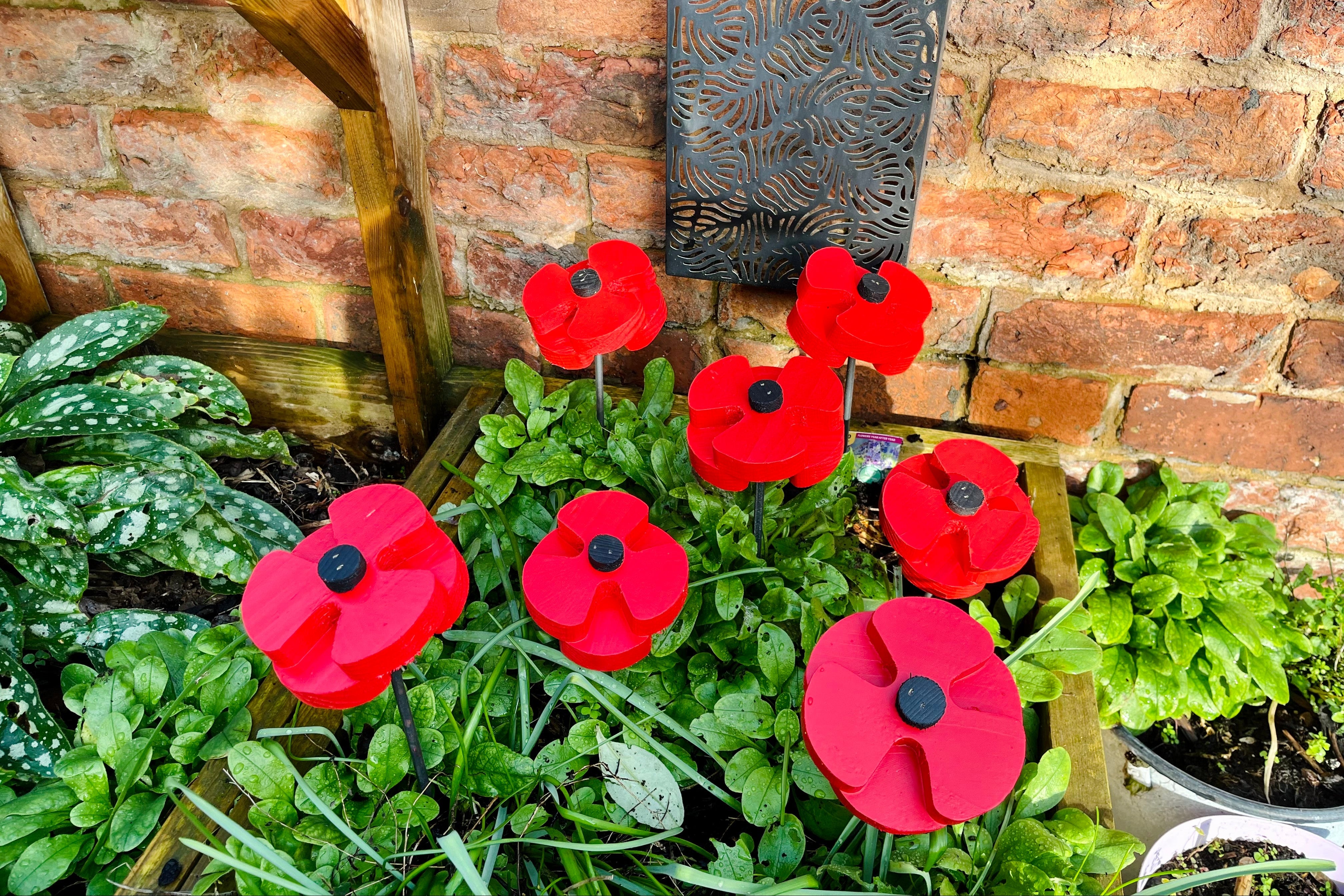 Decorative Poppy - Pair