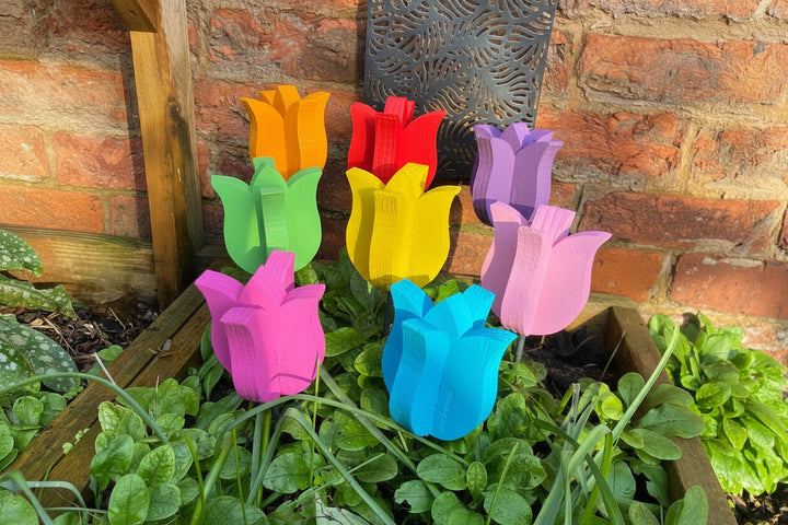 Decorative Tulip - Pair