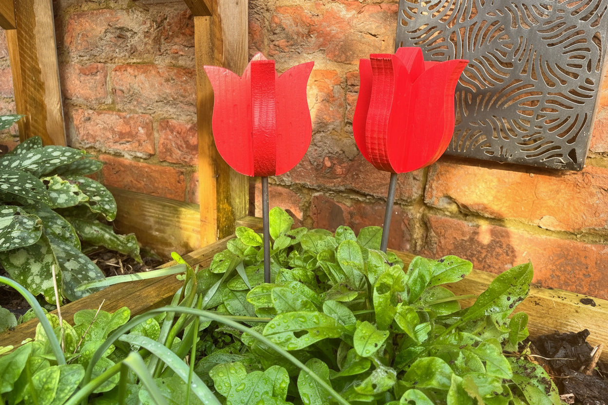 Decorative Tulip - Pair