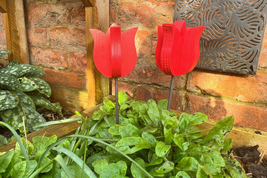 Decorative Tulip - Pair
