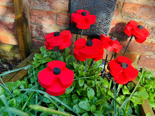 Decorative Poppy - Set of 2