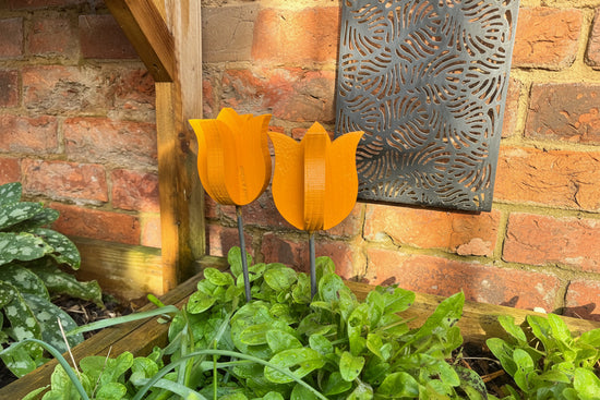 Decorative Tulip - Pair