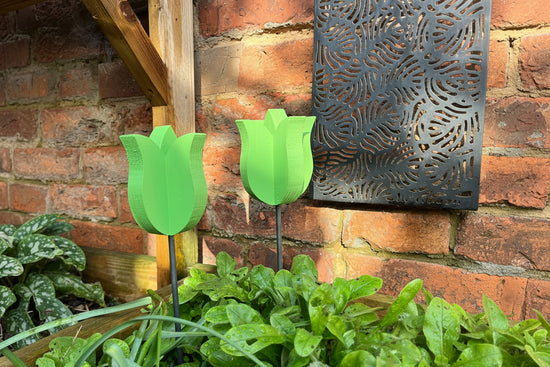 Decorative Tulip - Pair
