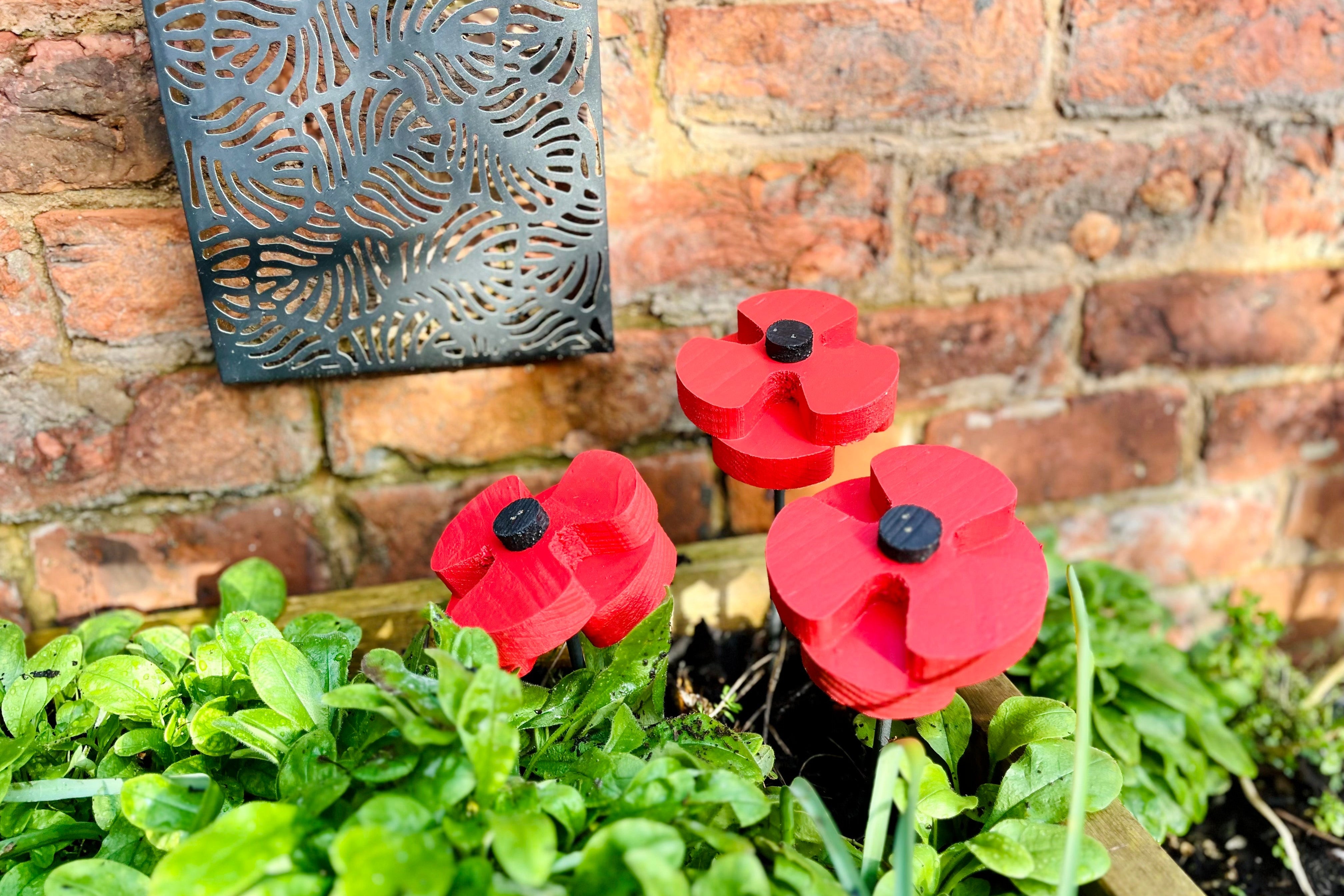 Decorative Poppy - Pair