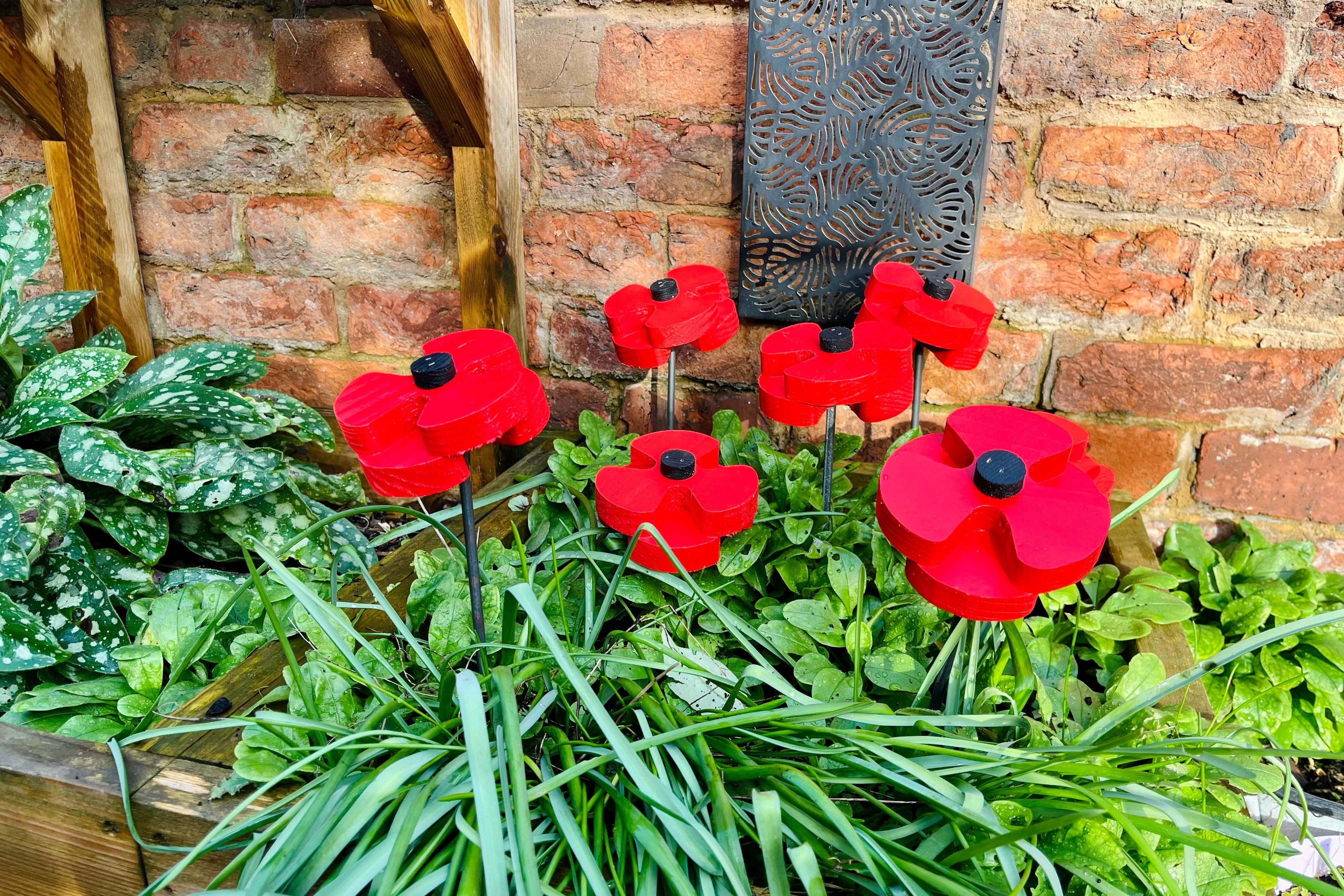 Decorative Poppy - Pair