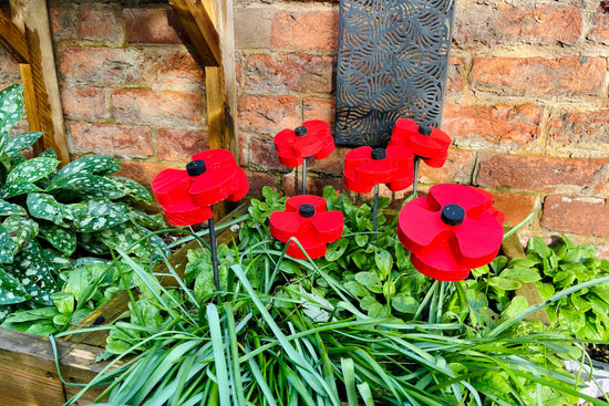 Decorative Poppy - Pair