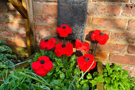 Decorative Poppy - Pair