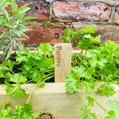 Personalised Minimalist Hardwood Plant Markers - Set of 5