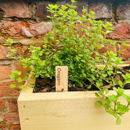 Personalised Minimalist Hardwood Plant Markers - Set of 5