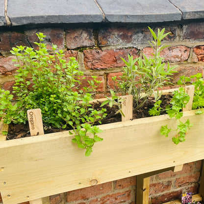 Personalised Minimalist Hardwood Plant Markers - Set of 5